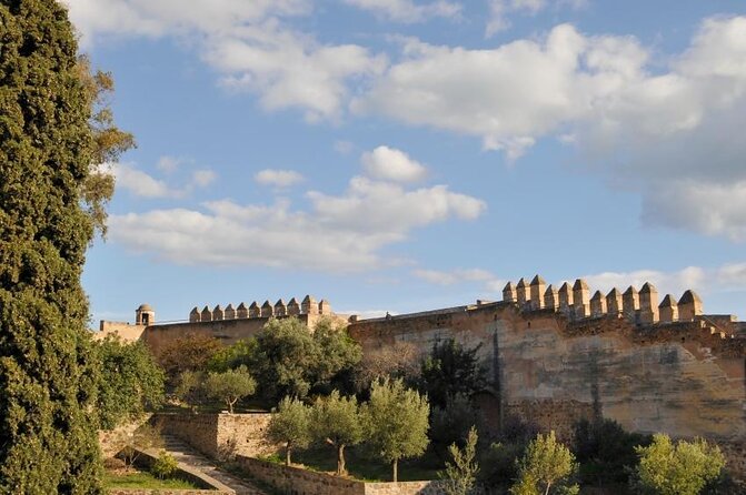 Malaga Shore Excursion: Malaga Highlights & Marbella Small-Group - Marbella Small-Group Tour
