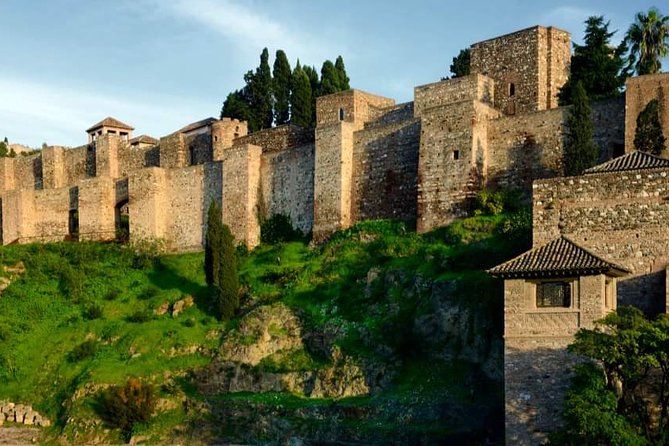 Malaga Shore Excursion: Malaga Highlights & Marbella Small-Group - Common Questions