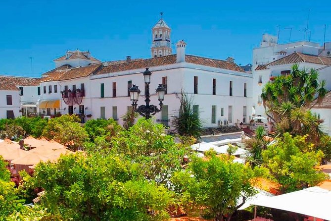 Malaga Shore Excursion: Malaga Highlights & Marbella Small-Group - The Sum Up