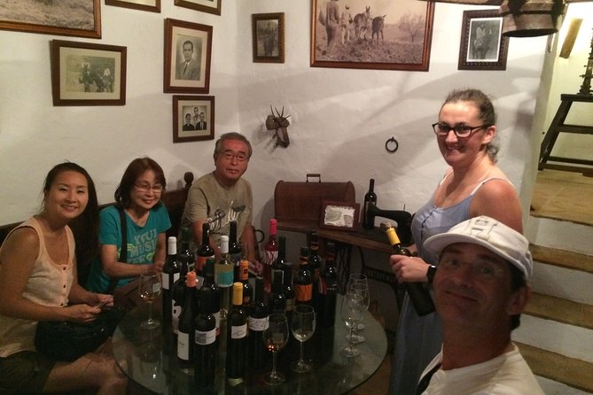 Malaga Shore Excursion: Panoramic Buggy Tour - Common Questions