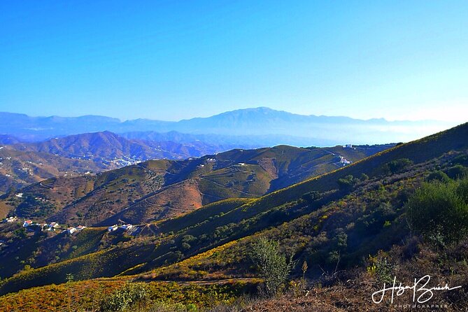 Malaga Shore Excursion: Panoramic Buggy Tour With Wine Tasting in a Historical Cellar - Traveler Photos