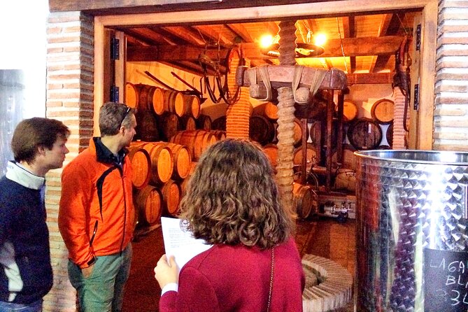 Malaga Shore Excursion: Panoramic Buggy Tour With Wine Tasting in a Historical Cellar - The Sum Up