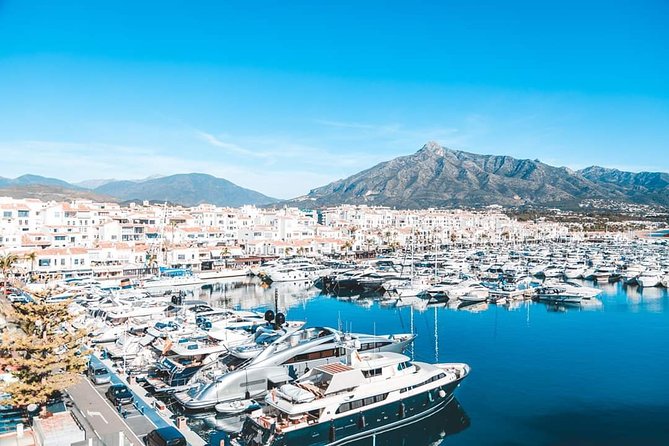 Malaga Shore Excursion: Ronda & Puerto Banus Full Day - The Sum Up