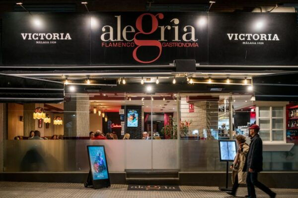 Malaga: Show and Food at Alegría Flamenco and Restaurant - The Sum Up