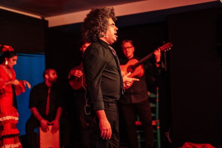 Malaga: Tablao Flamenco Show Antojo & Optional Dinner - Experience Highlights