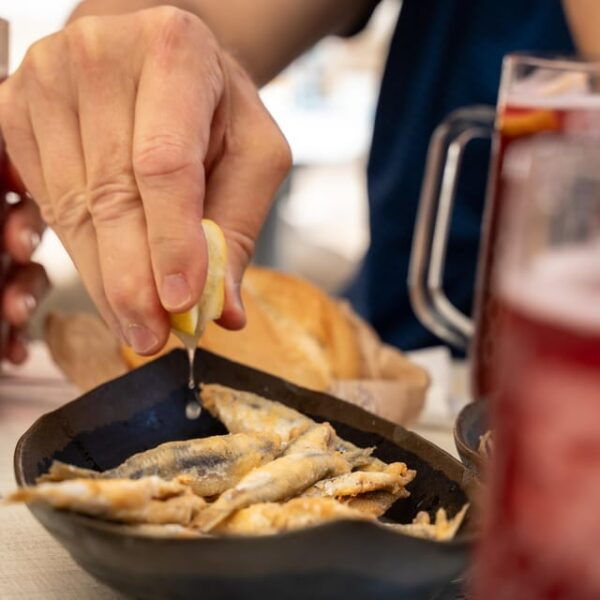 Malaga: Taste-of-Spain Walking Food Tour - Accessibility Features