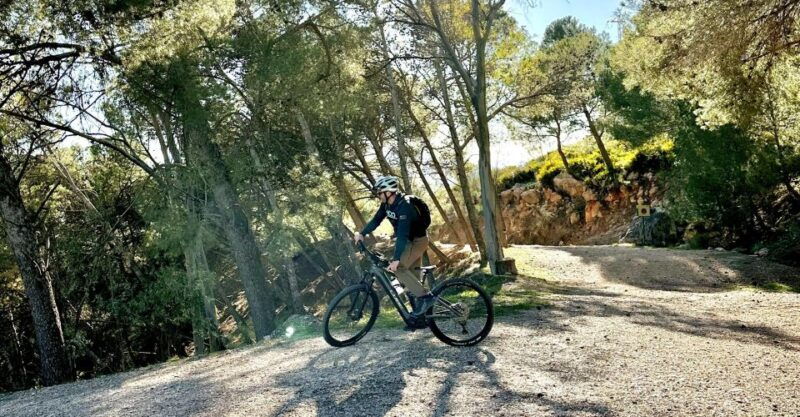 Málaga: the Chorro E-Bike Guided Tour 4h - Good To Know