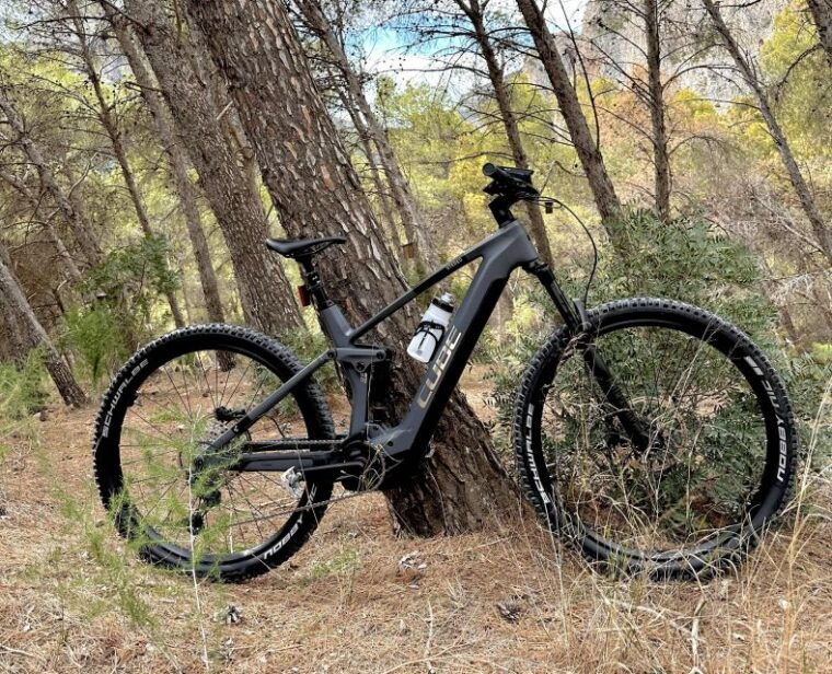 Málaga: the Chorro E-Bike Guided Tour 4h - Information on Local Geology, Wildlife, and History