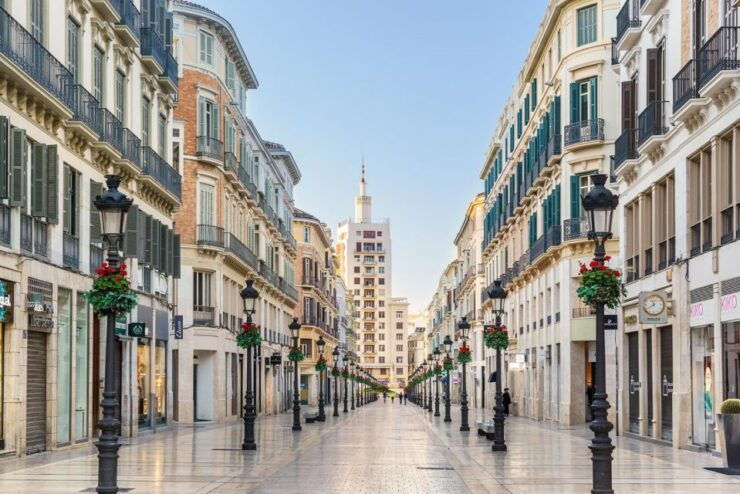 Malaga: Thyssen Museum 2-Hour Private Guided Visit - Experience Highlights
