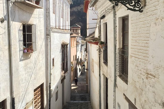 Malaga to Granada Trip With Alhambra Tickets Included - Questions and Help Center