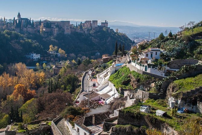 Malaga to Granada Trip With Alhambra Tickets Included - Terms and Conditions