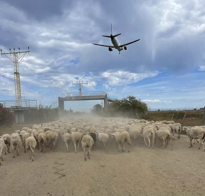 Málaga: Tour 2-Hours Solo All-Terrain Quad Adventure - Final Thoughts on the Experience  