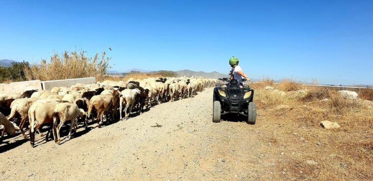 Málaga: Tour Off-Road 1-Hour Solo All-Terrain Quad Adventure - Safety and Gear