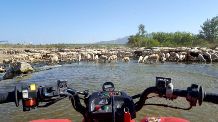 Málaga: Tour Off-Road 1-Hour Solo All-Terrain Quad Adventure - Itinerary and Highlights