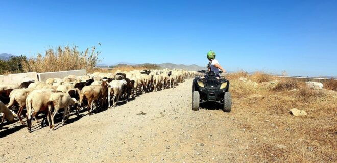 Málaga: Tour Off-Road 1-Hour Solo All-Terrain Quad Adventure - Safety and Requirements