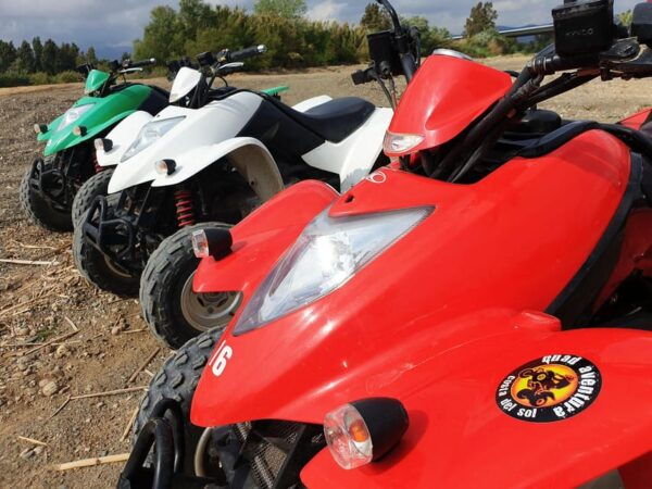 Málaga: Tour Off-Road 1-Hour Solo All-Terrain Quad Adventure - Quad Adventure Tour