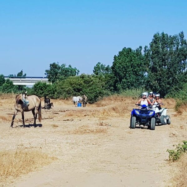 Málaga: Tour Off-Road 1-Hour Solo All-Terrain Quad Adventure - Refreshments and Return