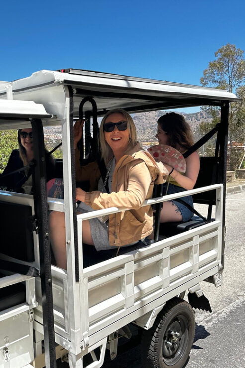 Málaga: TukTuk Tour and Flamenco Show - Itinerary Highlights