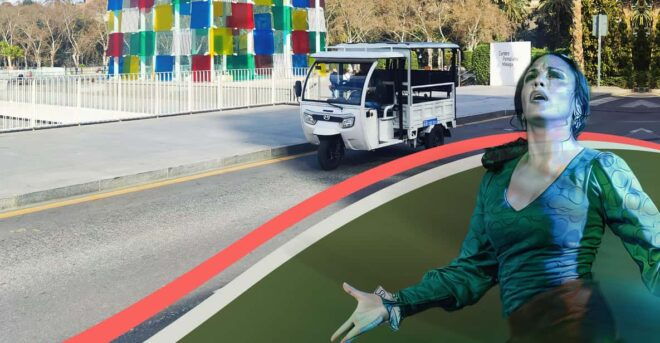 Málaga: TukTuk Tour and Flamenco Show - Included Services
