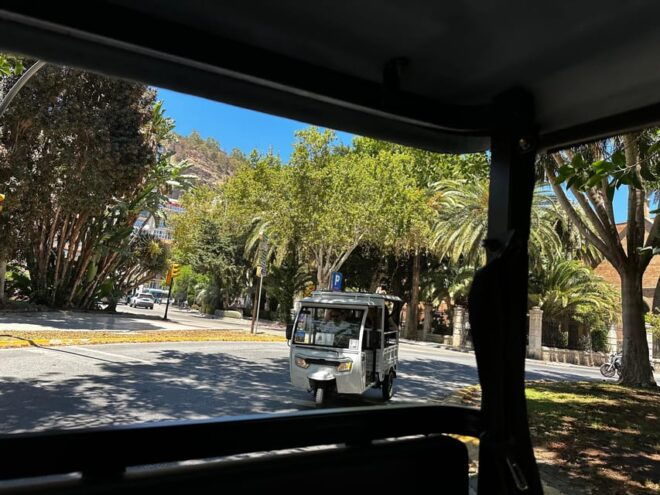 Málaga: TukTuk Tour and Flamenco Show - Customer Feedback
