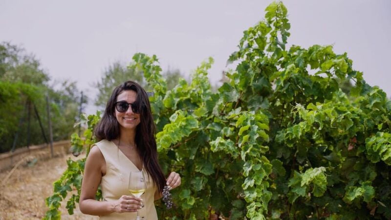 Malaga: Vineyard and Cellar Visit With 6 Top Wines and Tapas - Good To Know