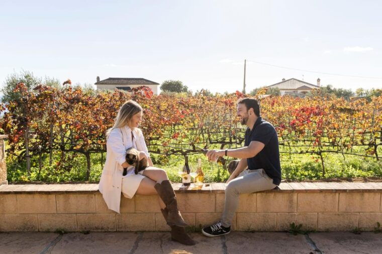 Malaga: Vineyard and Cellar Visit With 6 Top Wines and Tapas - Cultural Insights and Anecdotes