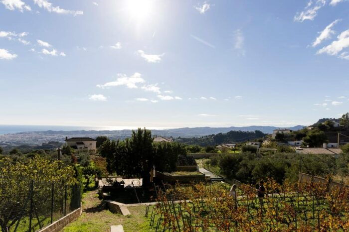 Malaga: Vineyard and Cellar Visit With 6 Top Wines and Tapas - Comfort and Amenities