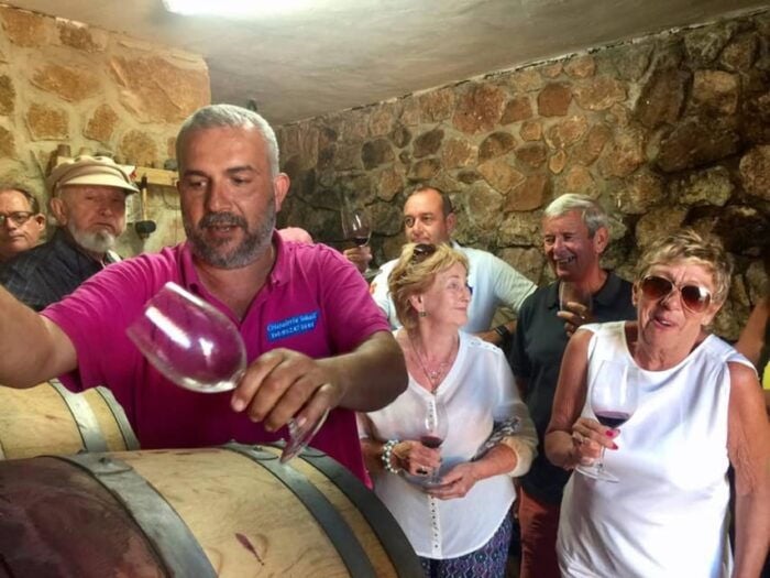 Malaga: Vineyard and Cellar Visit With 6 Top Wines and Tapas - Customer Feedback and Ratings