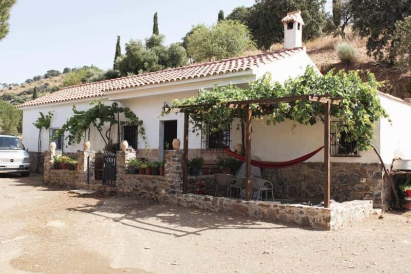 Málaga:Exclusive Heroic Vineyard Visit & Natural WineTasting - Málaga: Exclusive Heroic Vineyard Visit & Natural Wine Tasting — A Detailed Review