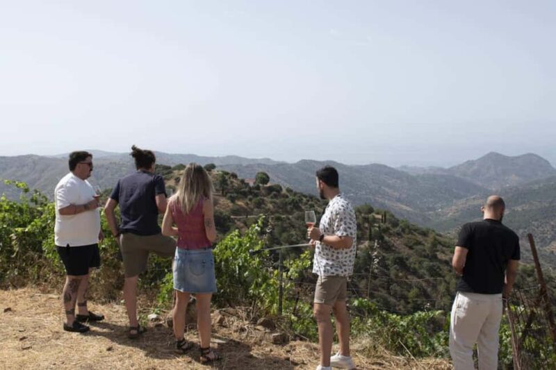 Málaga:Exclusive Heroic Vineyard Visit & Natural WineTasting - Good To Know