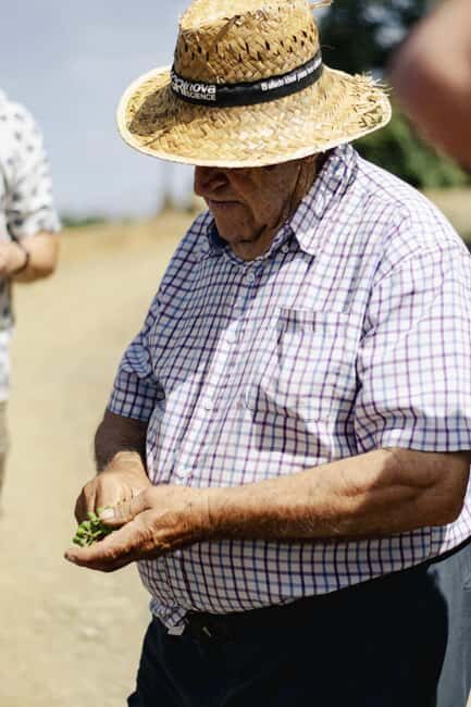 Málaga:Exclusive Heroic Vineyard Visit & Natural WineTasting - Final Thoughts