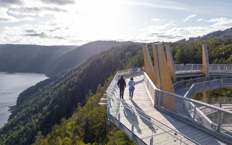 Malahat Skywalk Ticket - From the forest path to the spiral tower