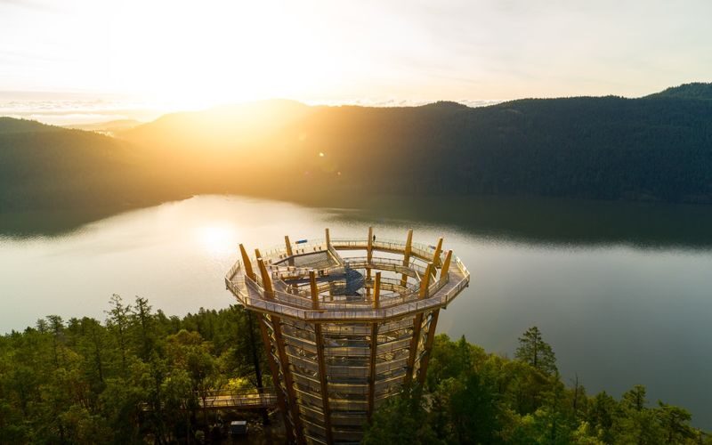 Malahat Skywalk Ticket - What the ticket includes, and what it costs