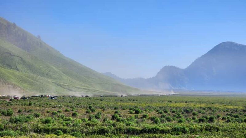 Malang (1D) : Trip Sunrise in Bromo (Private) - Who Should Consider This Tour?