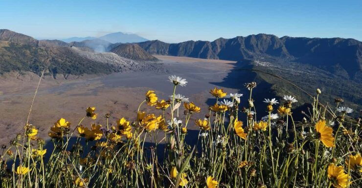 MALANG: BROMO SUNRISE/SONGA RIVER RAFTING - Detailed Itinerary