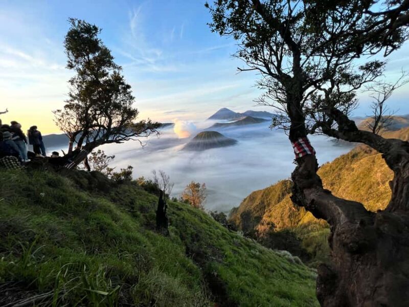 Malang: Bromo & Tumpak Sewu Shared Transfer & Tour - Introduction to the Tour: What Sets It Apart  