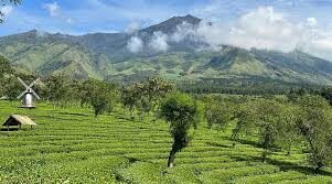 Malang Full-Day Private Tour with Batik Workshop Experience - Coban Rondo Waterfall and a warm snack nearby