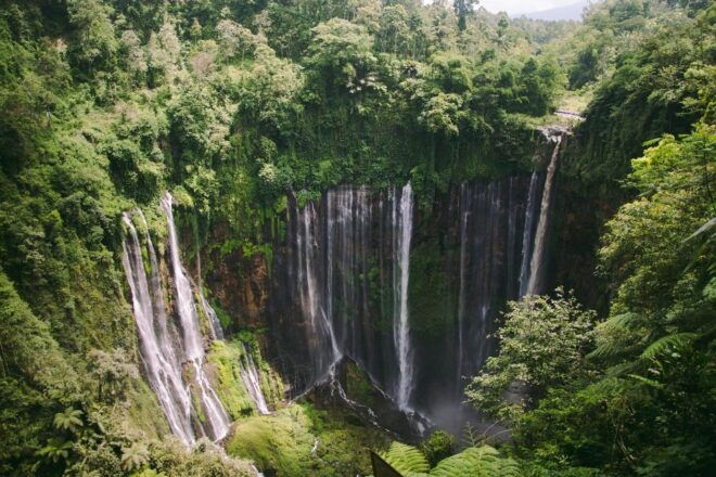 Malang: Private Car Charter With Driver - Booking Information