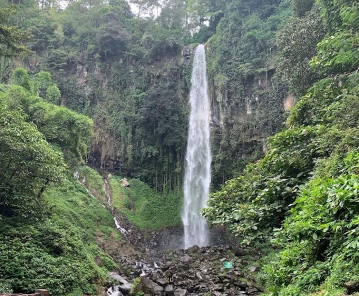 Malang: Private Car Charter With Professional Driver by Van - Booking Details