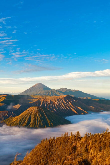 Malang/Surabaya: 3 Day Tumpak Sewu-Mt Bromo & Mt Ijen - Mount Bromo Adventure