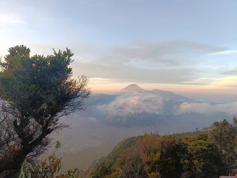 Malang/Surabaya: Stargazing Bromo Tour 2D1N - Good To Know