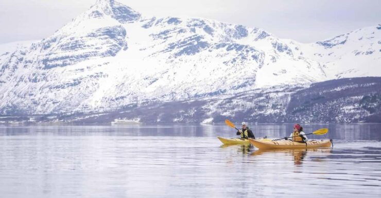 Malangen: Fjord Kayaking With Lunch - Experience Highlights