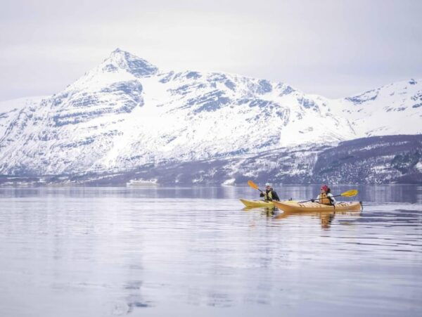 Malangen: Fjord Kayaking With Lunch - Frequently Asked Questions
