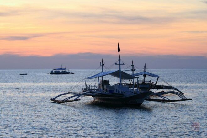 Malapascua: Advance Divers Shark Dive & Optional Transfer - Dive Schedule and Options