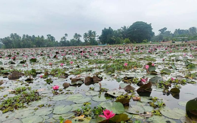 Malarikkal Viewpoint Tour from Cochin-Keralas Hidden Gem - FAQ