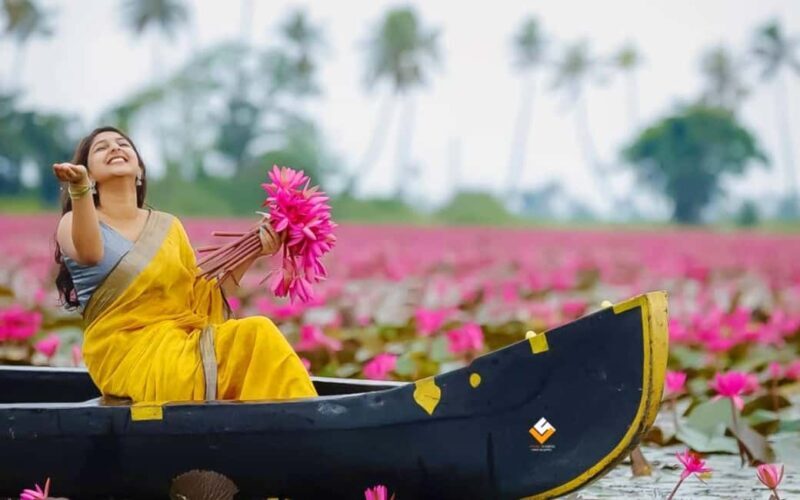 Malarikkal Viewpoint Tour from Cochin-Keralas Hidden Gem - A Detailed Look at the Malarikkal Viewpoint Tour from Cochin: Kerala’s Hidden Gem