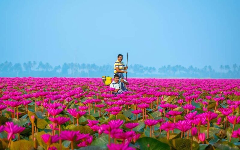 Malarikkal Viewpoint Tour from Cochin-Keralas Hidden Gem - The Sum Up