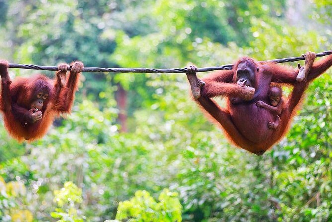 Malaysia: A'famosa Melaka Ticket - Introduction to Afamosa Melaka Ticket Experience