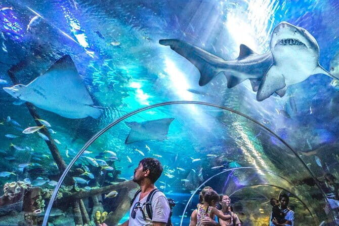Malaysia: Aquaria KLCC Admission E-Ticket - Good To Know