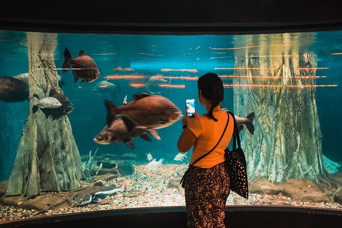 Malaysia: Aquaria KLCC Admission E-Ticket - A Closer Look at the Experience